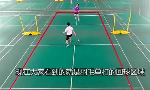 羽毛球单打和双打的边界示意图对比_羽毛球