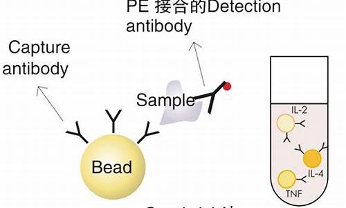 细胞因子检测的方法有哪些_cba测细胞因子