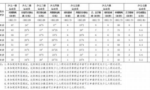 羽毛球技术等级评定标准_羽毛球业余等级评价标准