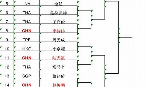 羽毛球男单对战表_羽毛球比赛男单